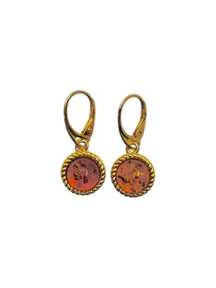 Orecchini Domar Donna Ambra in Argento Ambra AMBER-OR-7-280 - AMBER-OR-7-280